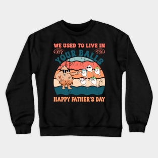 We used to live in your balls happy Gift For Men Father day Crewneck Sweatshirt